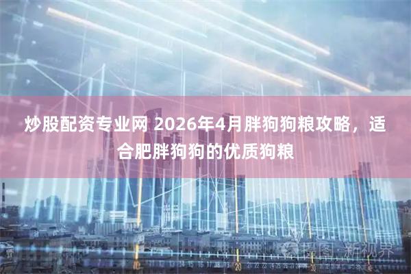 炒股配资专业网 2026年4月胖狗狗粮攻略，适合肥胖狗狗的优质狗粮